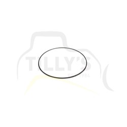 SEAL - O RING