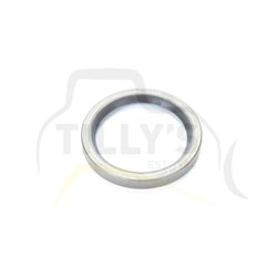 STRIP - SPRING GRP RECOIL