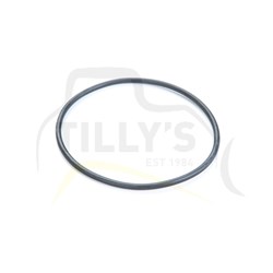 SEAL - O RING CLUTCH GRP D6H