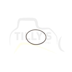 SEAL - O RING