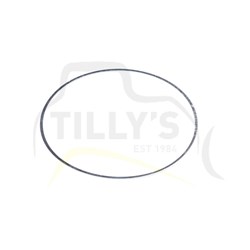 SEAL - RING TRANS
