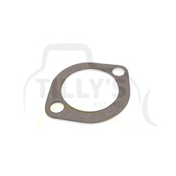 GASKET - TRASMISSION