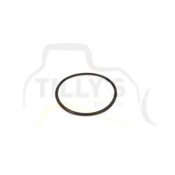 SEAL - O RING