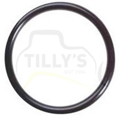 SEAL - O RING
