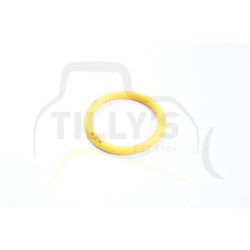SEAL - O RING