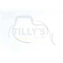 SEAL - RING CLUTCH STEER D6C