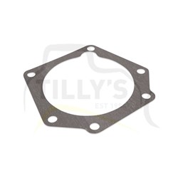 GASKET  - PUMP GRP