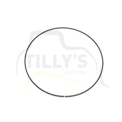 RING - TRANS PLANETARY STD
