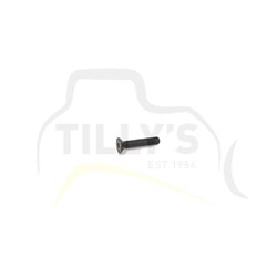 SCREW - FLAT HEAD 428C
