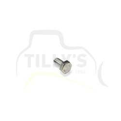 BOLT -HEX HEAD M12 X 25MM