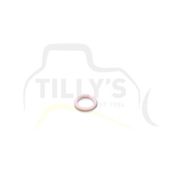 SEAL - VALVE GRP 12G