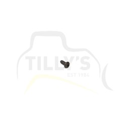 BOLT - COUNTER SUNK 623 F/DRV