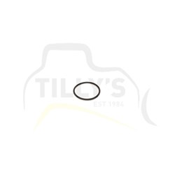 SEAL - O RING