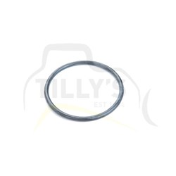 SEAL - O RING