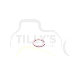 RING - BACKUP VALVE GRP