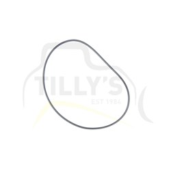 RING - SEAL CLUTCH STEER