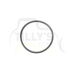 SEAL - O RING
