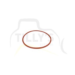 SEAL - O RING