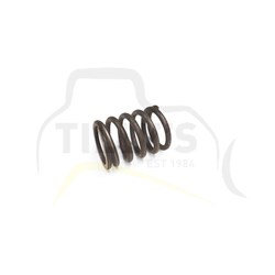 SPRING - VALVE OUTER 3208