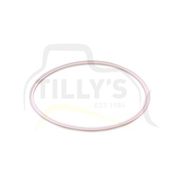 RING - SEAL PLANETARY