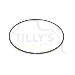 SEAL - RING TRANS 030"