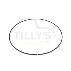 RING - SEAL O/SIZE .030