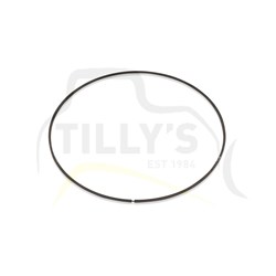 RING - SEAL PLANETARY