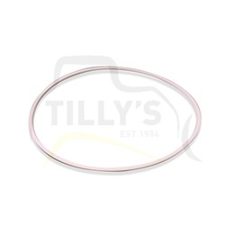 RING - SEAL PLANETARY D3C D4H