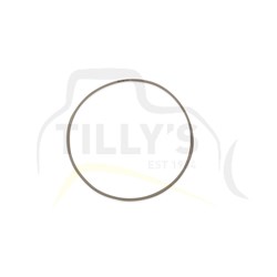 RING - SEAL PLANETARY