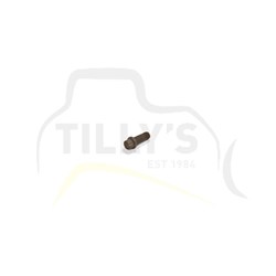 BOLT - 12 PT HEAD UNC 1/4 X