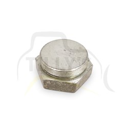 PLUG -