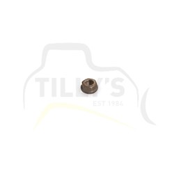 NUT - PUMP