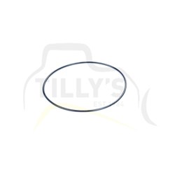 SEAL - RING DIFFERENTIAL