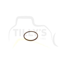 SEAL - O RING LINES OIL