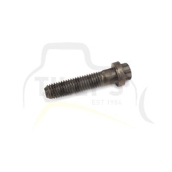 BOLT - 12 POINT HEAD M10 X 45M