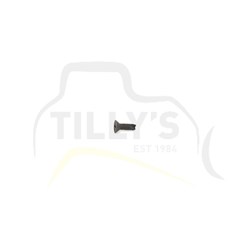 SCREW - FLAT HEAD 428C
