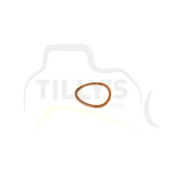 GASKET - SEAL FUEL INJ NOZZLE