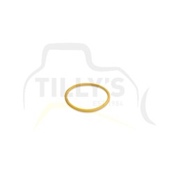 SEAL - O RING - TRACK ADJ