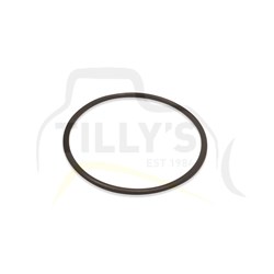 SEAL - O RING