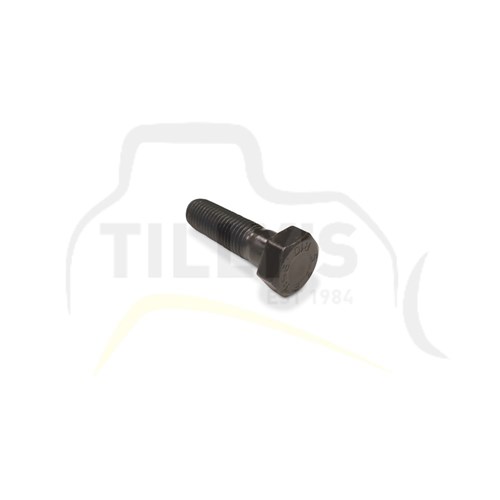 BOLT - M16 X 55mm 8.8