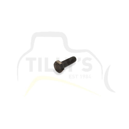 BOLT - HEX M10 X 30MM