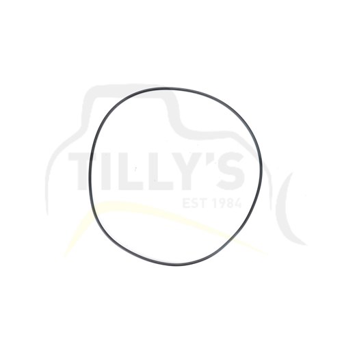 SEAL - O RING