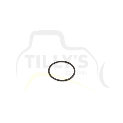 SEAL - O RING