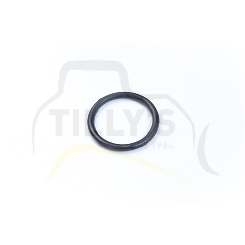 SEAL - O RING