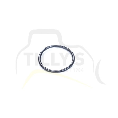 SEAL - O RING