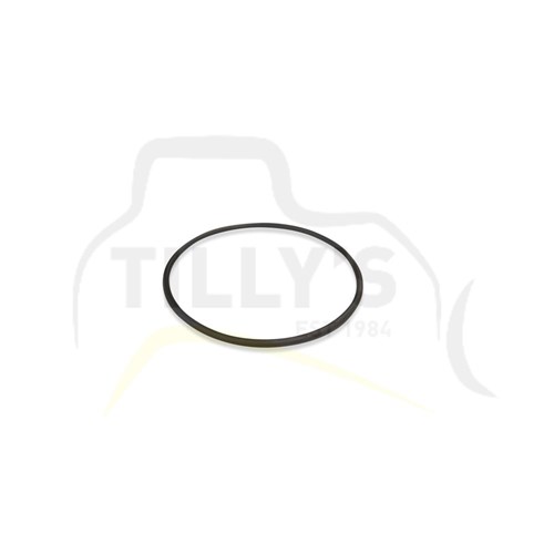 SEAL - O RING