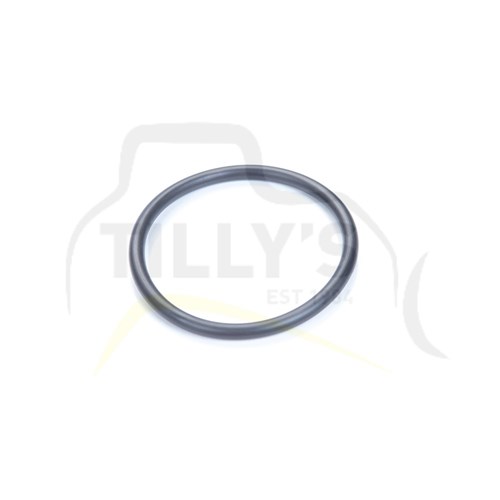 SEAL - O RING