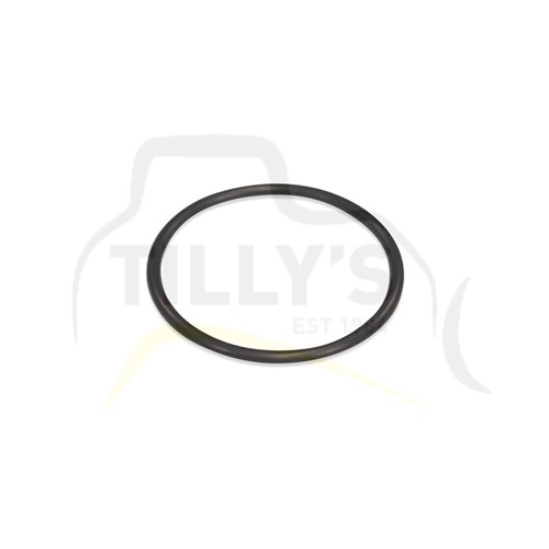 SEAL - O RING