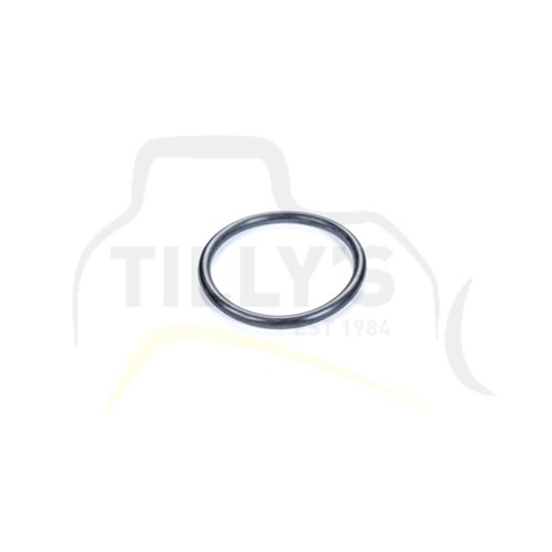 SEAL - O RING