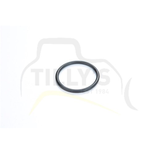SEAL - O RING